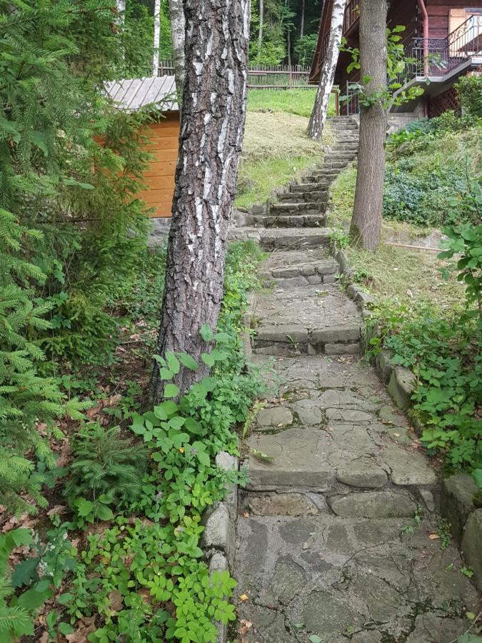 Gniewnik Villa Pcim Luaran gambar